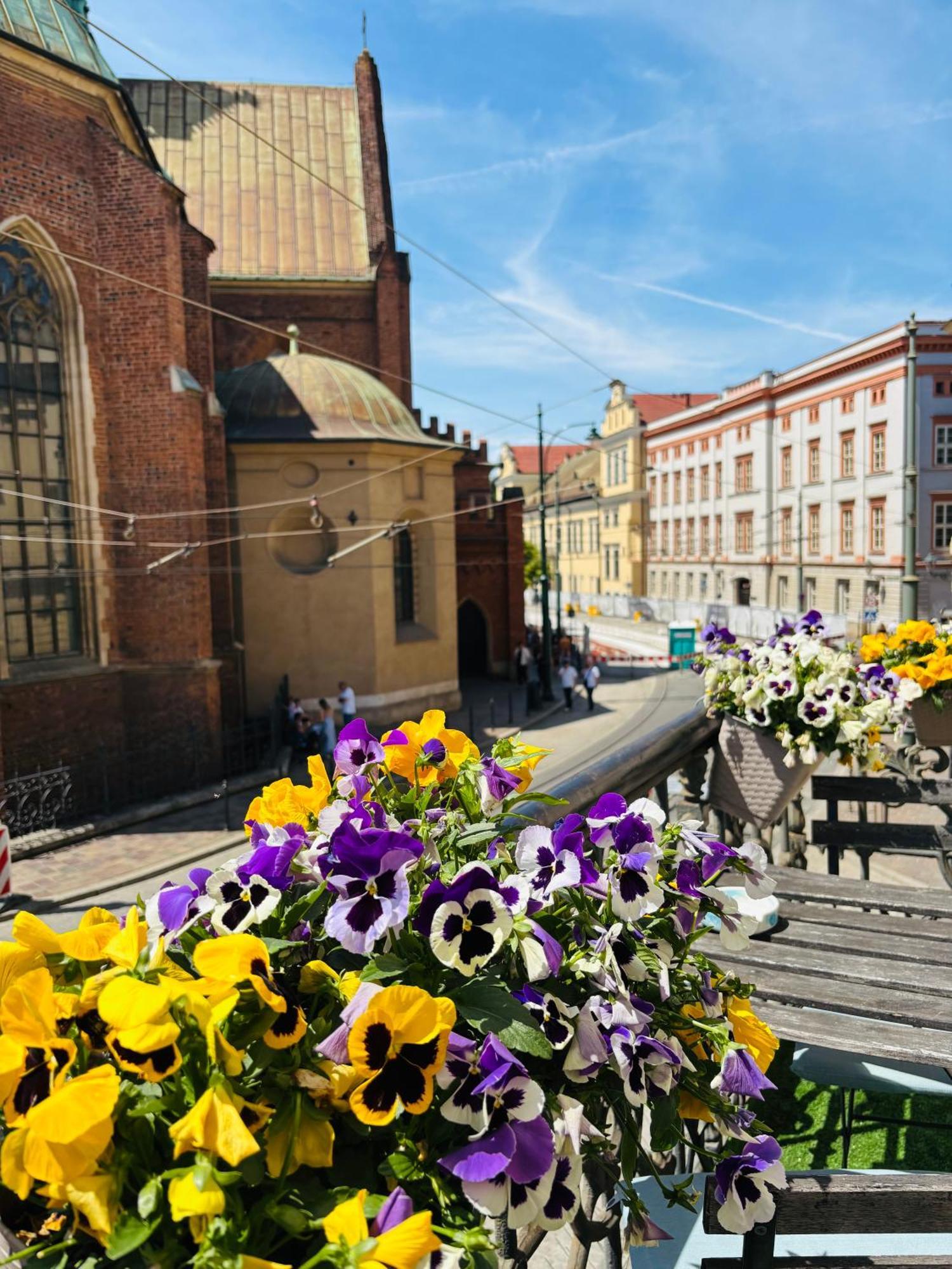 Apartament &